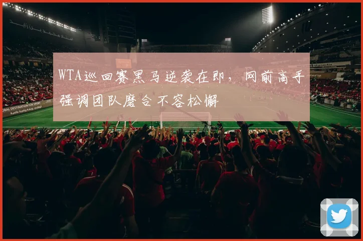 WTA巡回赛黑马逆袭在即,网前高手强调团队磨合不容松懈 - 虎扑体育推荐