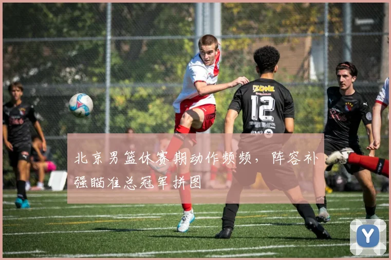 北京男篮休赛期动作频频，阵容补强瞄准总冠军拼图 - 虎扑体育推荐