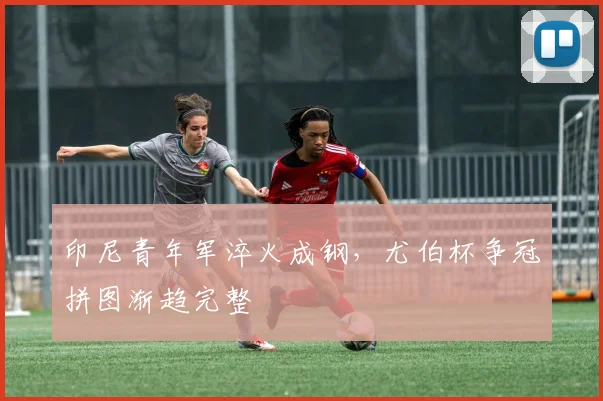 印尼青年军淬火成钢,尤伯杯争冠拼图渐趋完整 - 虎扑体育推荐